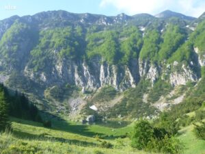 Zelengora